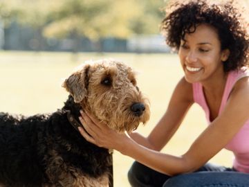 Airedale terrier and owner