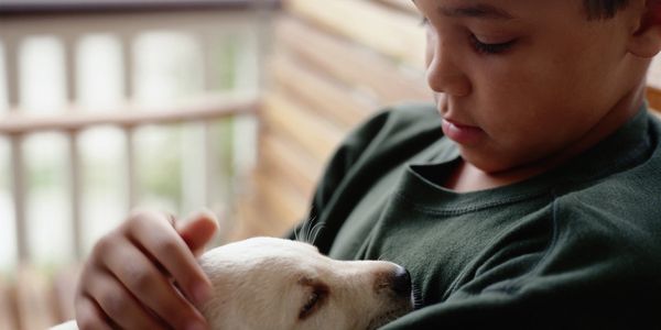 young child holding a puppy 
