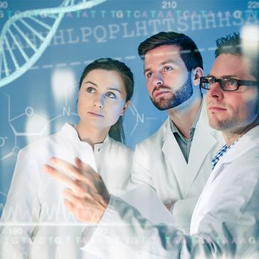 Scientists analyzing genetic data on a transparent screen.