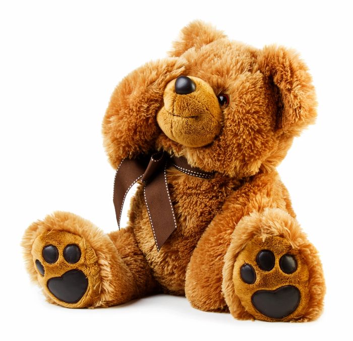 Teddy bear covering his right eye