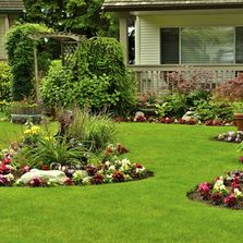 Walnut Creek Lawn & Landscape Services LLC