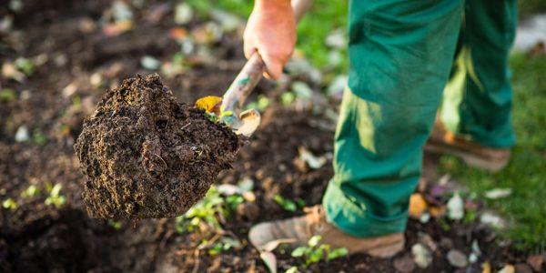 A person digging soil