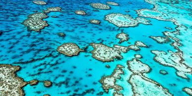 Biology and Ecology Island Ecosystem | Advanced STEM Research Program for High School Students