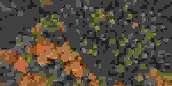 image1583