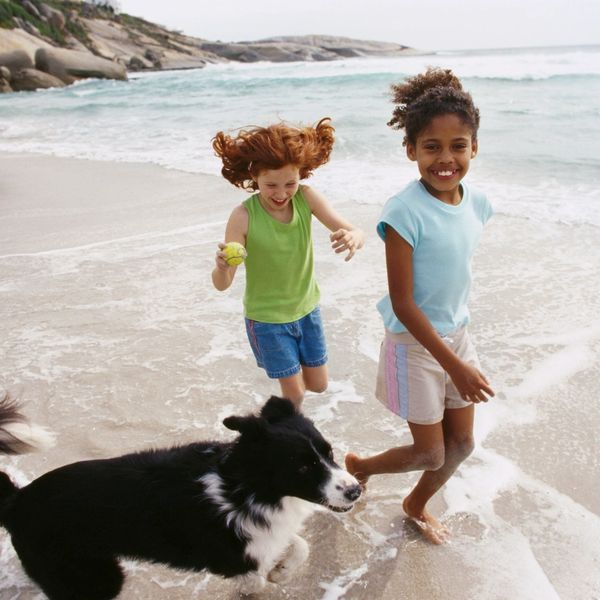 Two girls playing with a dog on the beach to highlight Cape May Pet-Friendly Vacation Rentals