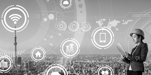 project management
budget management 
schedule management 
scope of work development