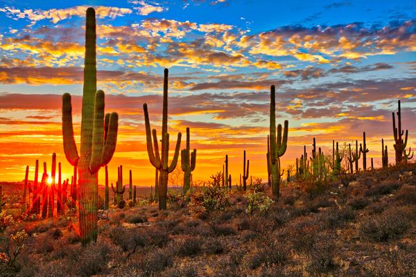 Phoenix, Arizona