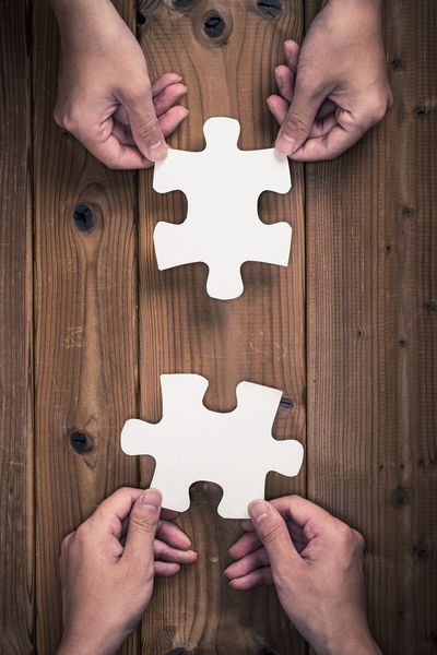 putting the puzzle together