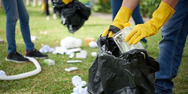 Full House and Yard Clean Up