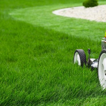 Lawn Care Services, Western Mass