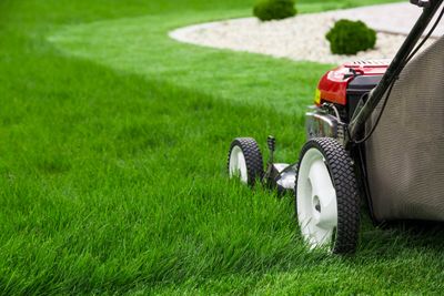 lawn mowing