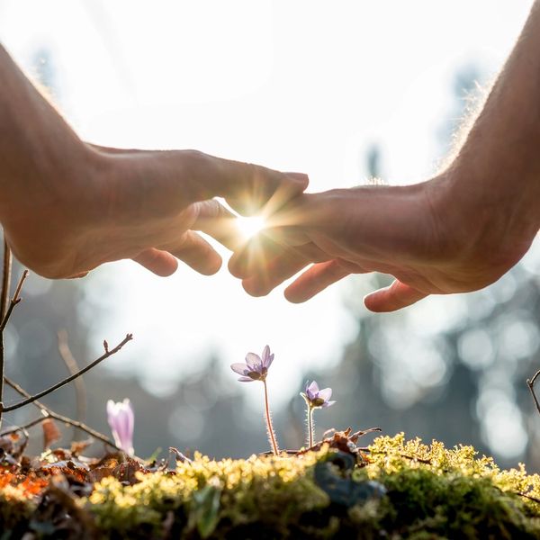 Holding hands over nature with a ray of light shining through. Reiki, sending life force energy