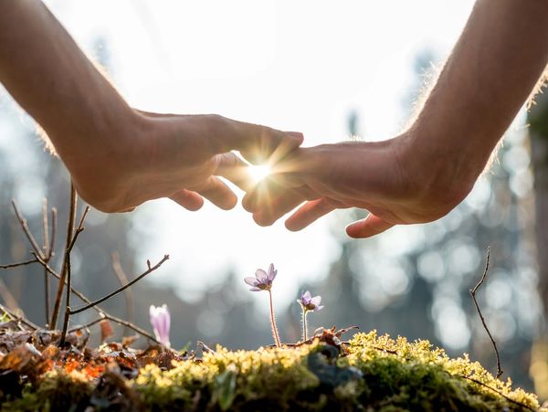 a woman holding her hands over a plant