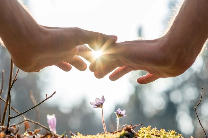 Energetic healing invites thriving and flourishing