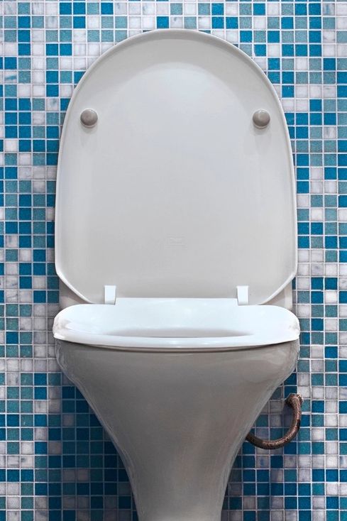 Toilet Repair & Replacement Service