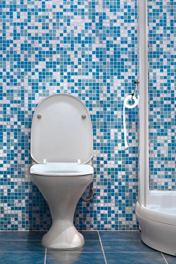 White toilet with blue mosaic tile wall and toilet paper roll.