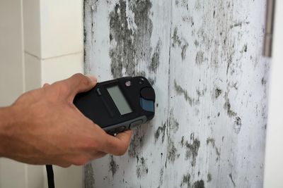 Mold and Mildew being scanned
