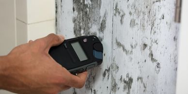 Person taking a moisture reading with a moisture meter