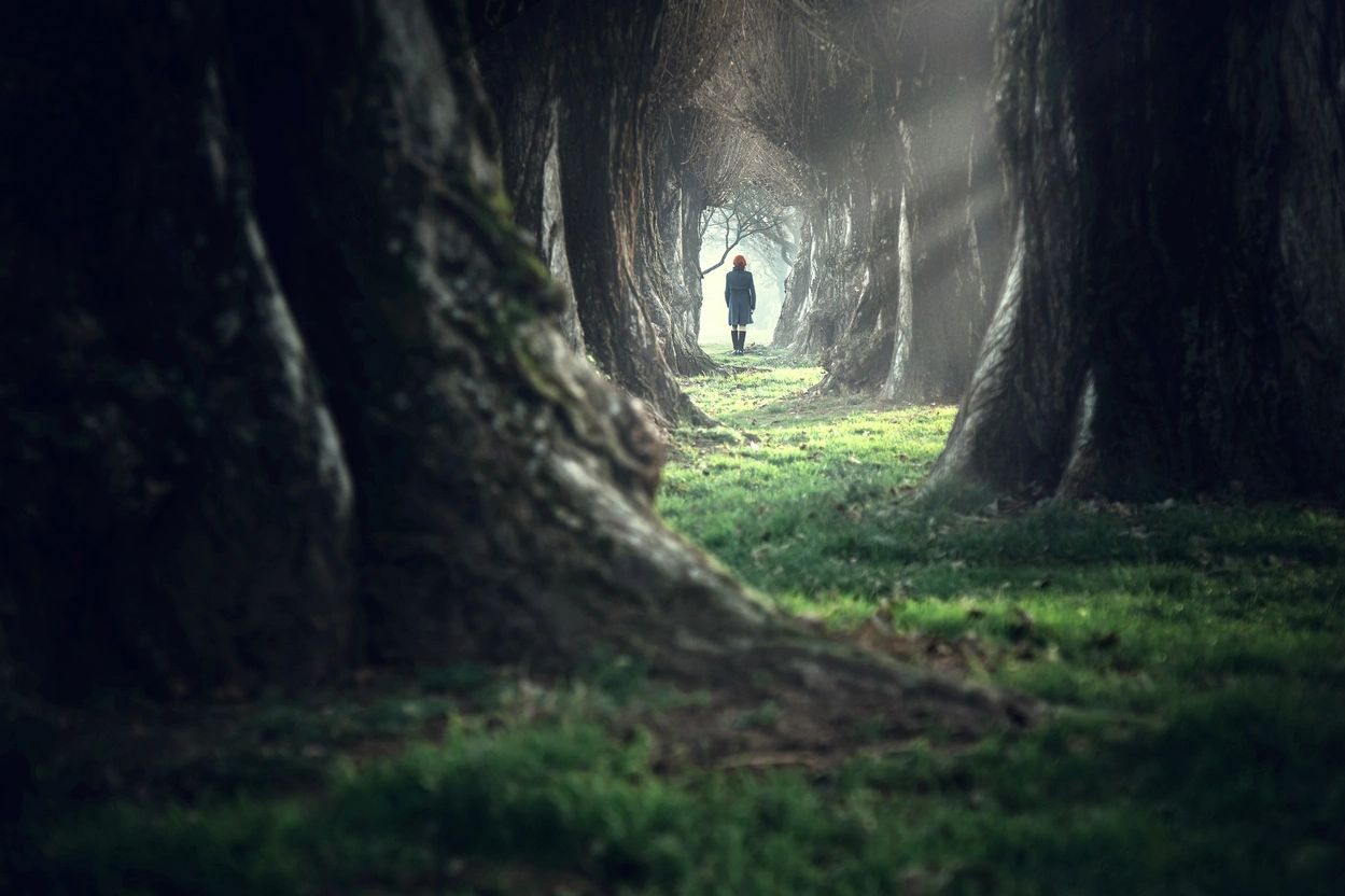 Person walking in dark forest