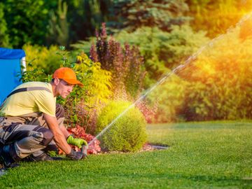 Sprinkler Audits