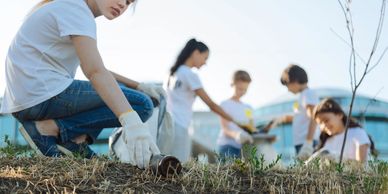 Planting seedlings for conservation and preservation