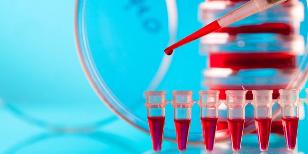 Mixture being pipetted into micro-centrifuge tubes 