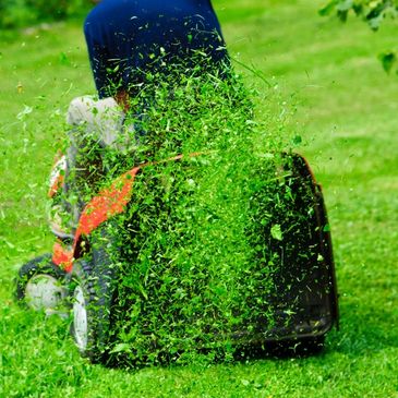 lawn mower repair, lawnmower repair, small engine repair, lawnmower service, lawn mower service