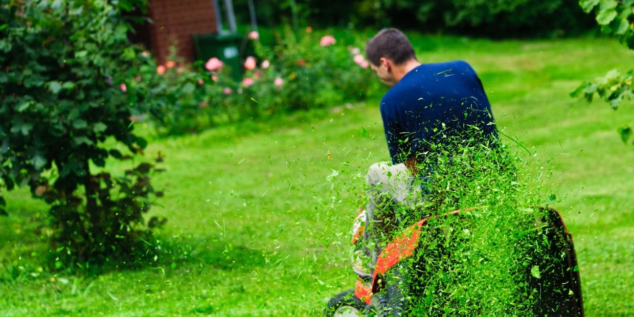 Let us get your lawn mower back in cutting shape.