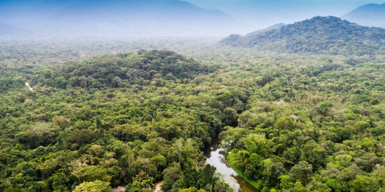 HOKU AULI is a Hawai‘i-based ʻāina stewardship company specializing in land protection, crop sustain
