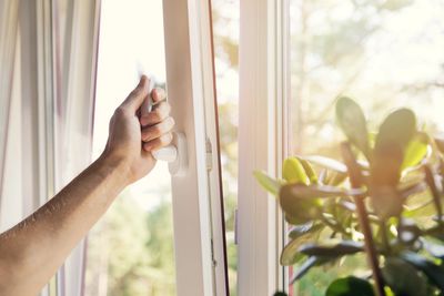 Person opening UPVC double-glazed window with natural light and green plant nearby – UPVC window repair and maintenance