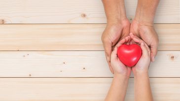 Adult and child hands holding a red heart together over wooden background.