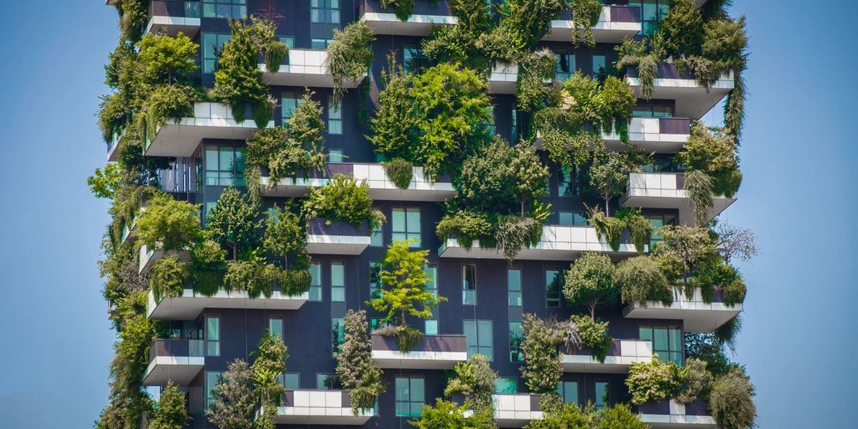 Urban Gardening, Sustainable Vertical Garden 