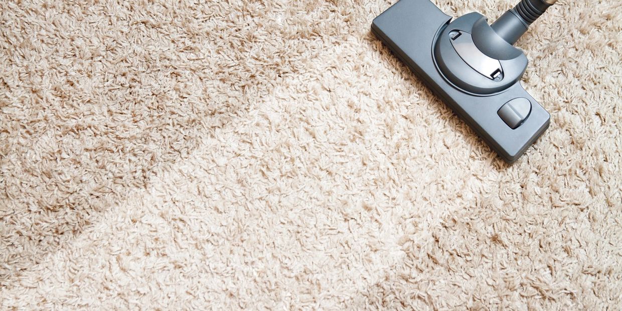 Image of a carpet being cleaned - Joanne & Co., LLC Cleaning Service - Dayton, OH