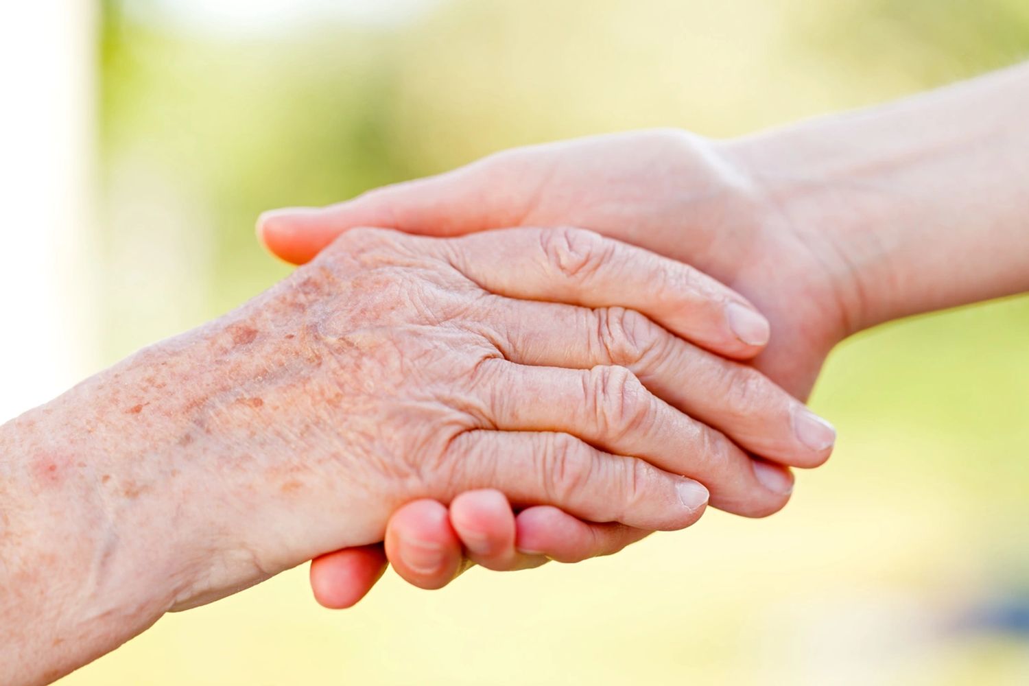 A young hand gently holding an elderly hand in a comforting gesture.