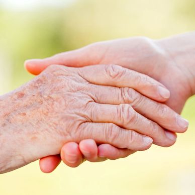 A young persons is shaking hands with an older persons hand.