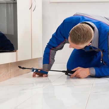 Pest Control Benefits, Best Pest Control Companies, Top Pest Control Services