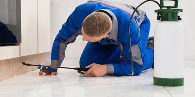 Pest Control Technician looking under cabinet with flashlight and spray can in hand