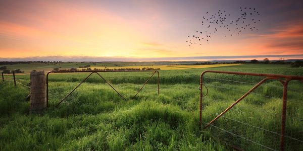 An under-utilized landscape full of potential against a setting sun backdrop 