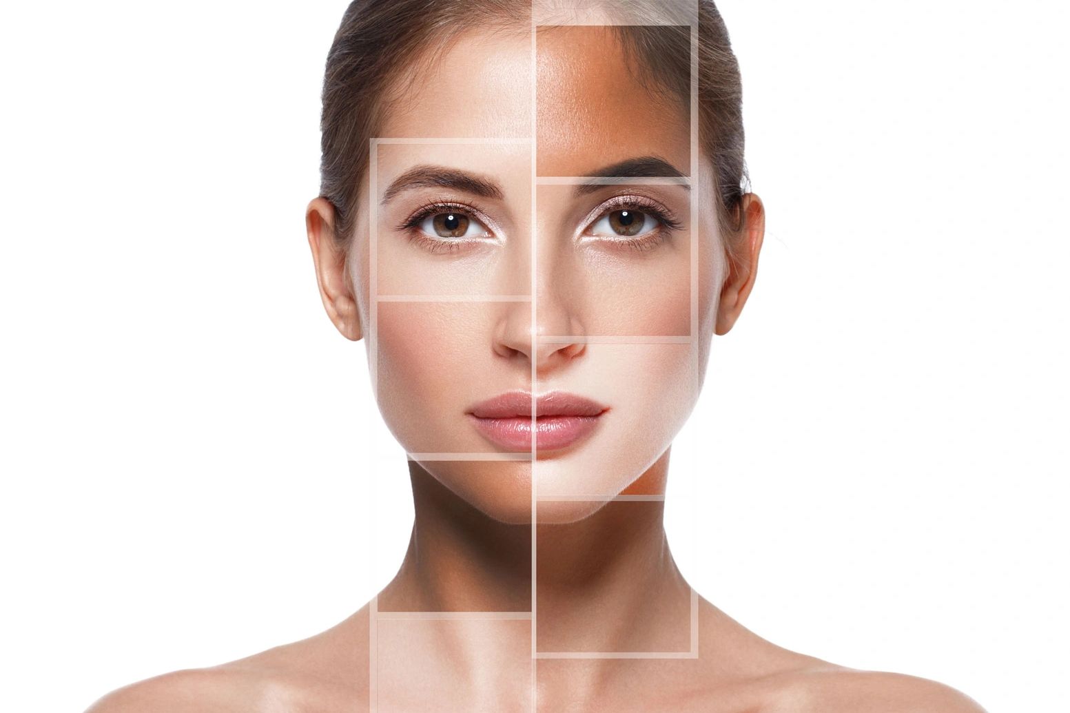 A woman with highlighted facial skin sections showing different tones and textures.