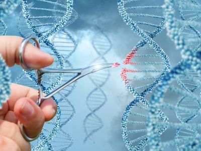 genetic testing improves prescribing precision