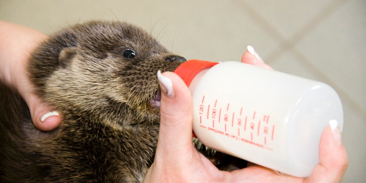 Volunteerism packages by Touring Tours