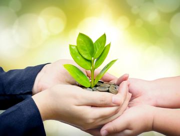 Hands holding a small plant growing from coins, symbolizing growth and investment.
