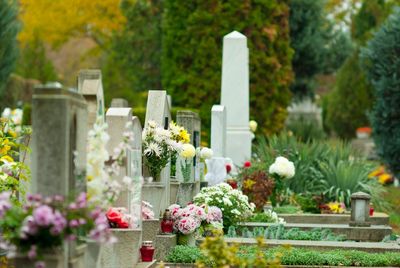 Headstones with flowers, greenery and trees