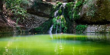 A serene green pond with a small waterfall surrounded by rocks and lush greenery.