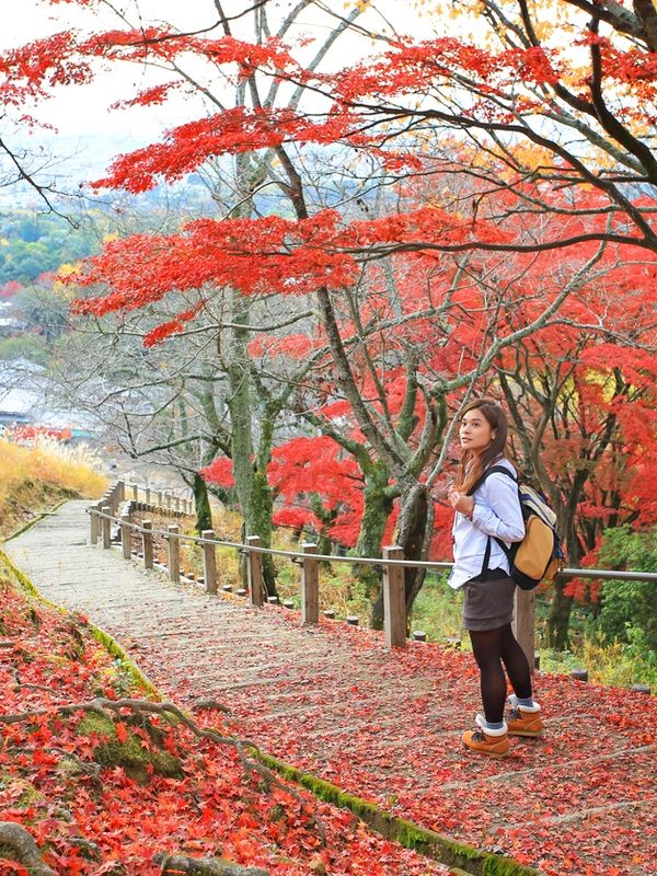 Autumn Walk Scene