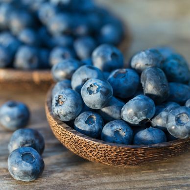 Fresh blueberries and fruit