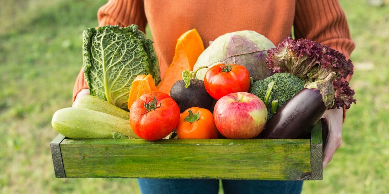 Person holding a crate full of fresh vegetables and fruits outdoors.