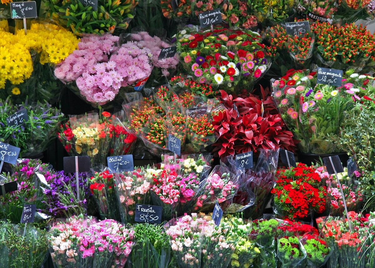 Wrapped Flower Bouquets...