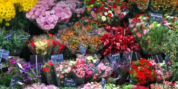 Vibrant flower market stall with diverse colorful bouquets.