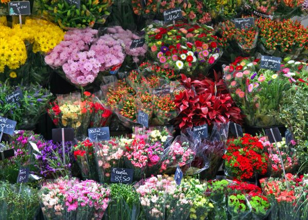 floral